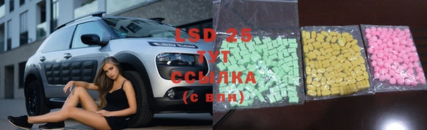 стаф Баксан