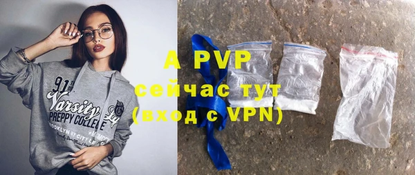 стаф Баксан